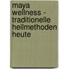 Maya Wellness - Traditionelle Heilmethoden heute door Carina Roth
