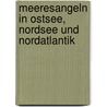 Meeresangeln in Ostsee, Nordsee und Nordatlantik door Matthias Wendt
