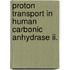 Proton Transport In Human Carbonic Anhydrase Ii.