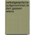 Selbstgespräche aufgenommen in den Gassen Wiens