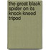 The Great Black Spider on Its Knock-kneed Tripod