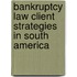 Bankruptcy Law Client Strategies In South America