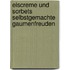 Eiscreme und Sorbets selbstgemachte Gaumenfreuden