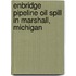 Enbridge Pipeline Oil Spill in Marshall, Michigan
