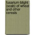 Fusarium-Blight (Scab) of Wheat and Other Cereals