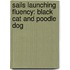 Sails Launching Fluency: Black Cat and Poodle Dog