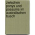 Zwischen Ponys und Possums im australischen Busch