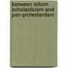 Between Reform Scholasticism and Pan-Protestantism door Martin I. Klauber