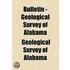Bulletin - Geological Survey of Alabama Volume 2-6