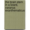 The Brain Stem in a Lizard, Varanus Exanthematicus door Hendrik J. Ten Donkelaar