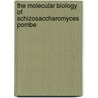 The Molecular Biology of Schizosaccharomyces Pombe by Richard Egel