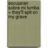 Escupiran Sobre Mi Tumba = They'Ll Spit On My Grave