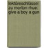 Lektüreschlüssel Zu Morton Rhue: Give A Boy A Gun