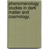 Phenomenology Studies In Dark Matter And Cosmology. door Yu Gao