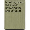 Breaking Open the Stone: Unfolding the Soul of Youth door Joe Dileo