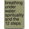 Breathing Under Water: Spirituality and the 12 Steps door Richard Rohr