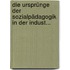 Die Ursprünge der Sozialpädagogik in der indust...