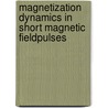 Magnetization Dynamics in Short Magnetic FieldPulses door Ioan Tudosa
