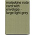 Moleskine Note Card With Envelope - Large Light Grey