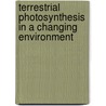 Terrestrial Photosynthesis in a Changing Environment door Jaume Flexas