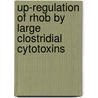 Up-regulation of RhoB by Large Clostridial Cytotoxins by Johannes Hülsenbeck