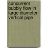 Concurrent Bubbly Flow in Large Diameter Vertical Pipe by Mohamed E. Shawkat