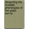Dissecting The Multiple Phenotypes Of The Yeast Sen1P. by Jonathan Sewell Finkel