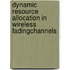 Dynamic Resource Allocation in Wireless FadingChannels
