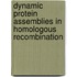 Dynamic protein assemblies in homologous recombination