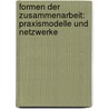 Formen der Zusammenarbeit: Praxismodelle und Netzwerke door Jens Poll