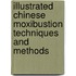 Illustrated Chinese Moxibustion Techniques and Methods