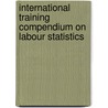 International Training Compendium On Labour Statistics door Not Available