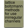 Lattice Boltzmann methods for use inirregular channels door Sigvat Stensholt