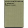 Schwall/Sunk-Problematik in Schweizer Fliessgewässern door Fabienne Künzli