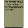 The Effects Of The Mirror In The Psychomanteum Process by Takanari Tajiri
