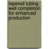 Tapered Tubing Well Completion for Enhanced Production door Affanaambomo Bertrand O.