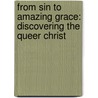 From Sin to Amazing Grace: Discovering the Queer Christ door Patrick S. Cheng