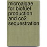 Microalgae For Biofuel Production And Co2 Sequestration door Yangling Mu