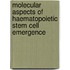 Molecular aspects of haematopoietic stem cell emergence