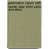 Perforation Repair With Dental Pulp Stem Cells And Dmp1