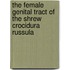 The Female Genital Tract of the Shrew Crocidura Russula