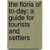 The Floria Of To-Day; A Guide For Tourists And Settlers by James Wood Davidson