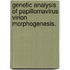 Genetic Analysis Of Papillomavirus Virion Morphogenesis.