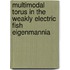 Multimodal Torus in the Weakly Electric Fish Eigenmannia