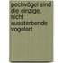 Pechvögel sind die einzige, nicht aussterbende Vogelart
