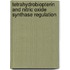 Tetrahydrobiopterin and nitric oxide synthase regulation
