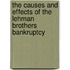 The Causes and Effects of the Lehman Brothers Bankruptcy