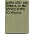 Walks After Wild Flowers; Or the Botany of the Bohereens