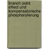 Branch point effect und kompensatorische Phosphorylierung
