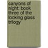 Canyons of Night: Book Three of the Looking Glass Trilogy